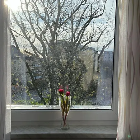 Cozy Apartment Geidorf With Free Parking Daire *